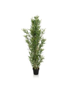 BAMBUS - Konstgjorda växter 