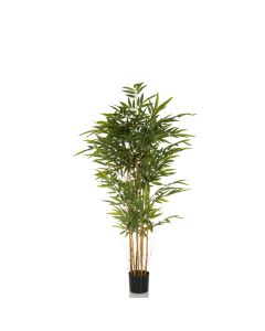 BAMBUS II - Konstgjorda växter 