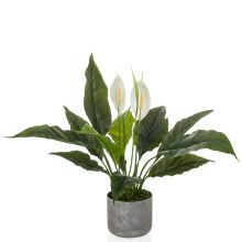 Spathiphyllum 1 - Konstgjorda växter 