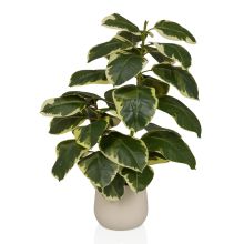 Ficus 3 - Konstgjorda växter 