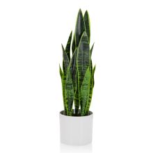 SANSEVIERIA - Konstgjorda växter 