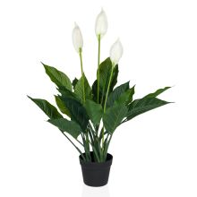SPATHIPHYLLUM - Konstgjorda växter